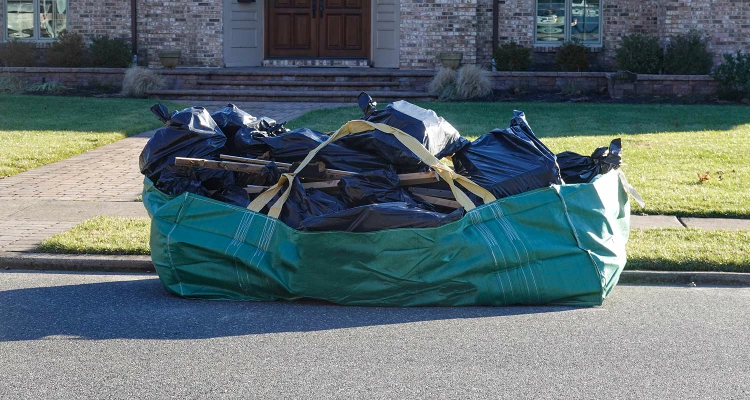 Vendite Bagster 1 Vendite Bagster -Vendite Bagster 01 Bagster